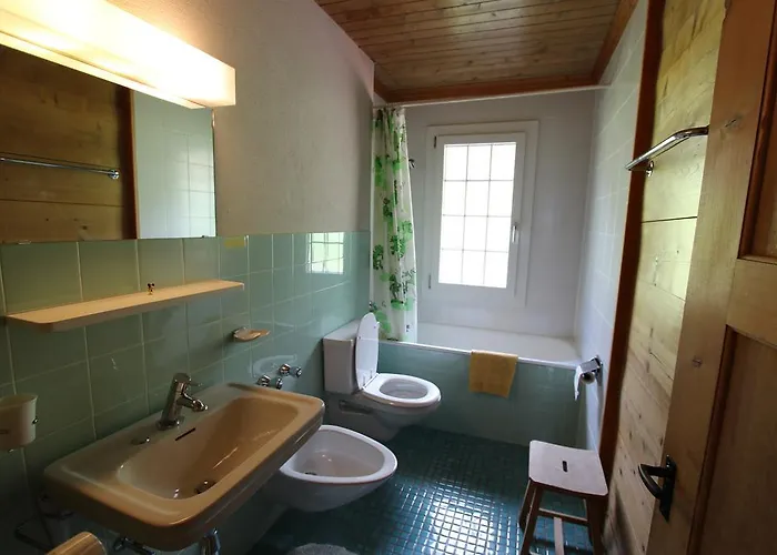 Arnica 2 シャトー・デー